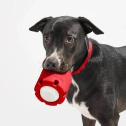 Strawberry Tennis Tumble Dog Toy