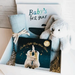 Baby's First Year Gift Box - Blue
