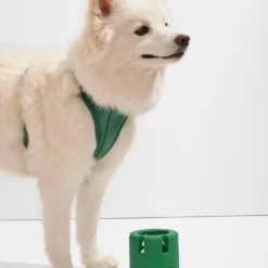 Spruce Tennis Tumble Dog Toy