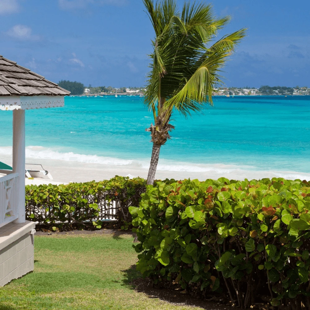 Beach House Gold Travel Candle - Image 5